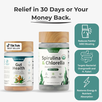 Gut Glow: The Protocol For Your Gut's Hidden Enemy