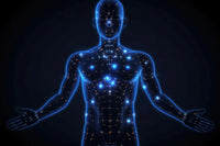 Vascular Repair & Blood Flow